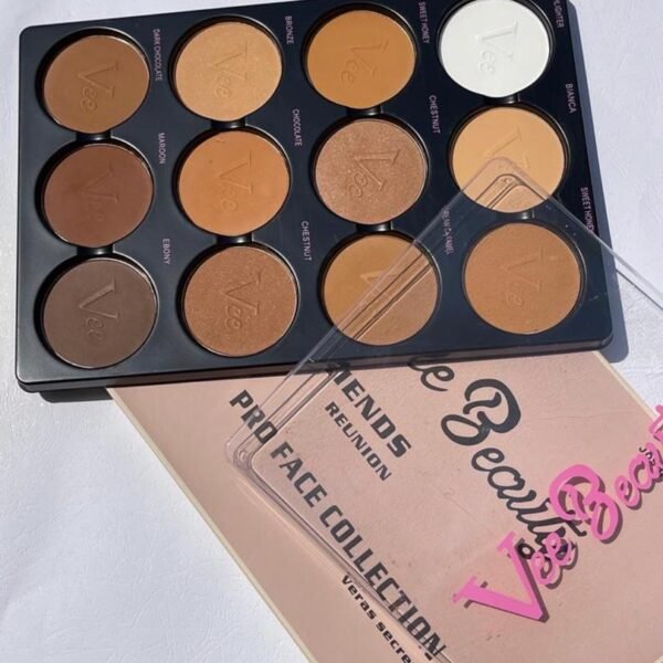 Vee beauty 12 in 1 powder palette