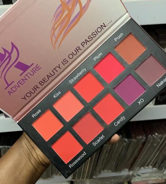 adventure blush palette