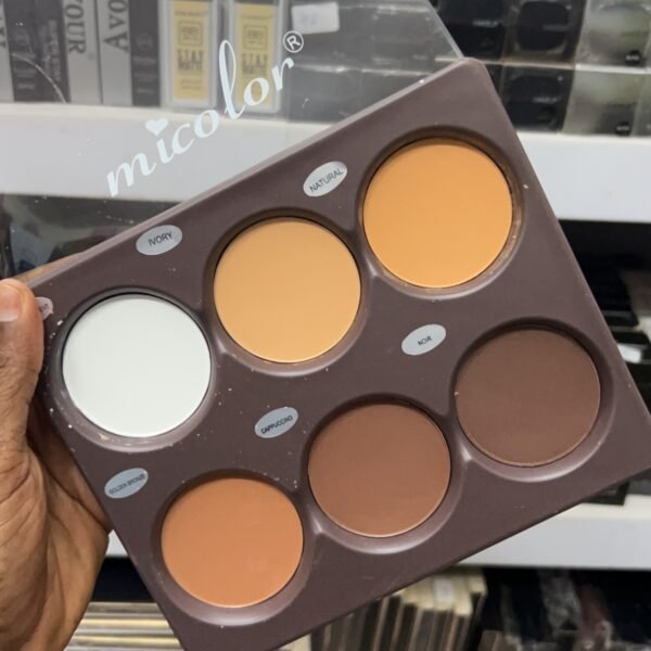 Micolor face it / holy grail 6 in 1 powder palette