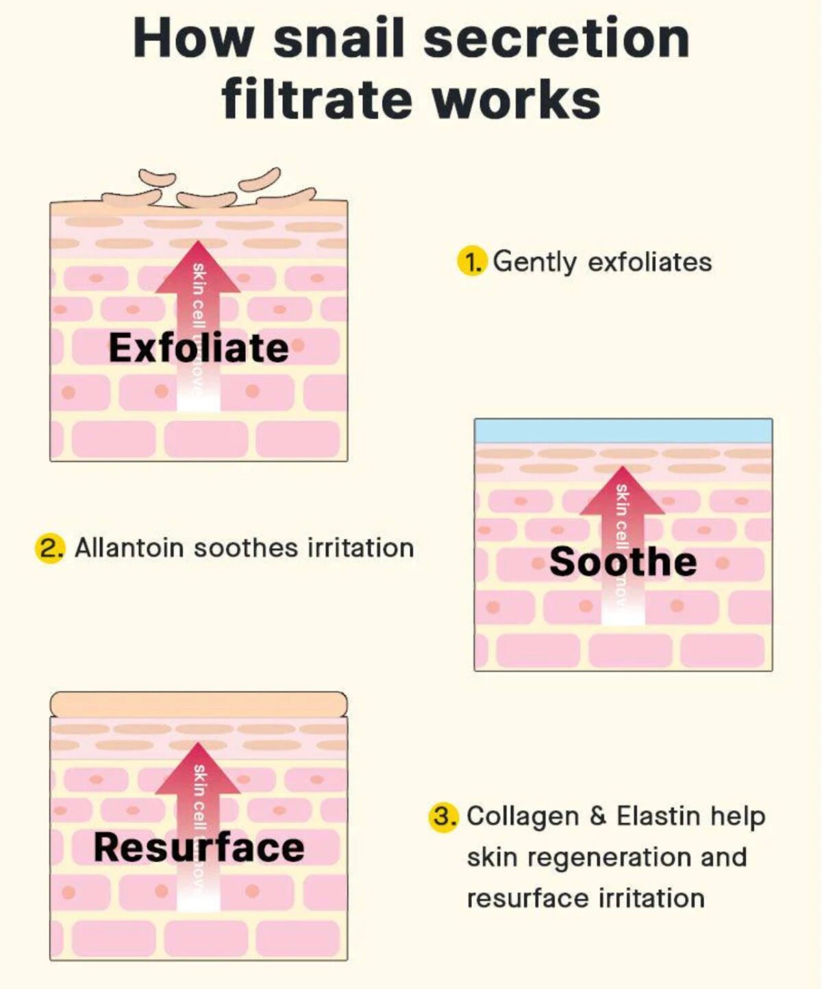 Cosrx Advanced Snail Radiance Dual Essence - Image 4