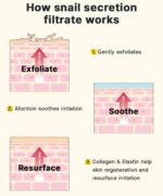 Cosrx Advanced Snail Radiance Dual Essence - Image 4