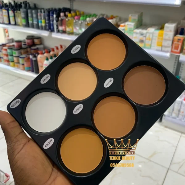 Zikel face kit 6 in 1 powder palette - fair to medium shades