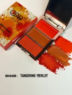 CPD Cheek Fusion Multi Finish Cheek Trio / cream blush | powder blush | shimmer - Image 2